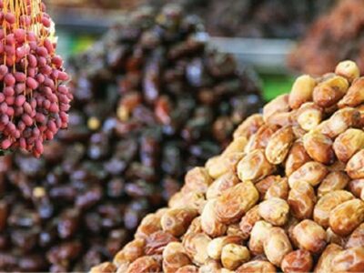 افت صادرات خرمای ایران / چرا خرمای ایران بازارهای جهانی را از دست داد؟