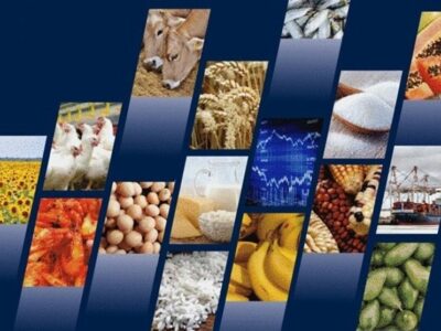 بررسی علل و راهکارهای مقابله با اتلاف مواد غذایی در زنجیره تامین