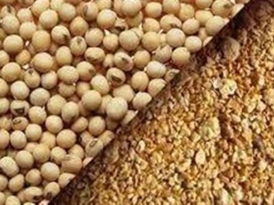 به‌روزرسانی قیمت کنجاله سویا و توقف ثبت سفارش‌های زمستانی