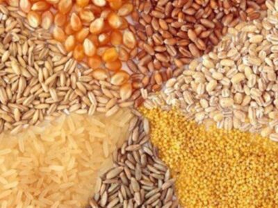 تحویل مدت‌دار نهاده دامی به مرغداران تصویب شد