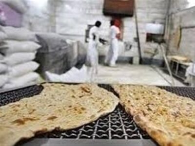 دولت اسیر استدلال‌های غلط مدافعان حذف یارانه نان نشود