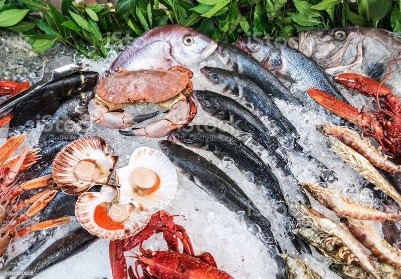 صادرات  محصولات شیلاتی ایران به ۶۱ کشور جهان