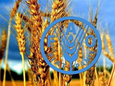 فائو: استفاده از فناوری هسته‌ای برای غلبه بر ناامنی غذایی ضروری است