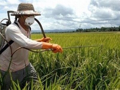 قیمت تولیدی سموم کشاورزی تا ۶۰درصد افزایش یافت | پیش بینی رشد ۵درصدی بازارجهانی در۲۰۲۶