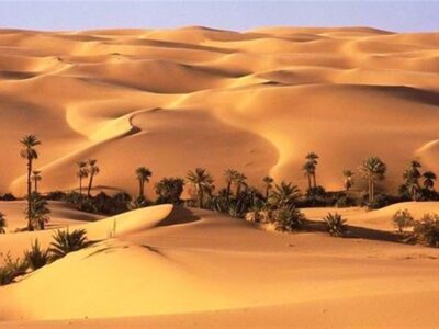 «نجات آب» ــ ۶۹| حمایت از زنجیره ارزش پایدار محصولات در مناطق خشک