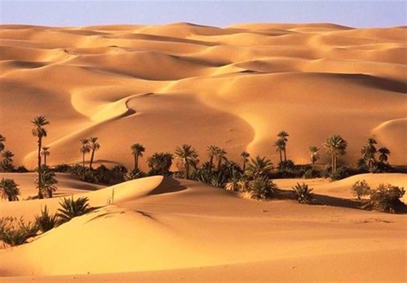 «نجات آب» ــ ۶۹| حمایت از زنجیره ارزش پایدار محصولات در مناطق خشک