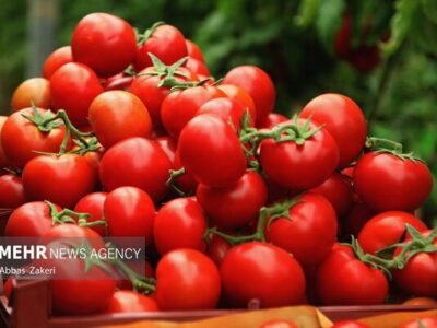 نقش گوجه فرنگی در سلامت لثه