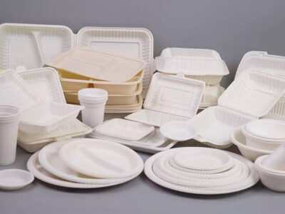 هشدار به کارگاه‌های زیرپله‌ای تولید ظروف یکبار مصرف| پلمب در انتظار متخلفان