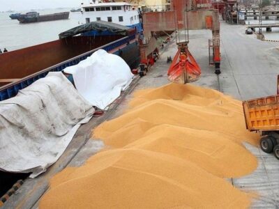 واردات ۲.۷۵ میلیون تن گندم در ۱۰ ماهه امسال