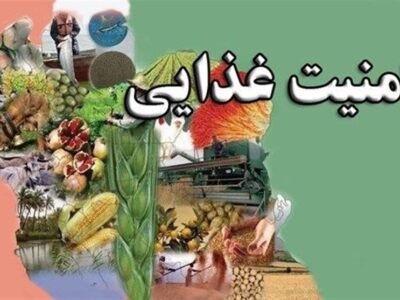 پرونده متفاوت «معماری نوین امنیت غذایی» در تسنیم