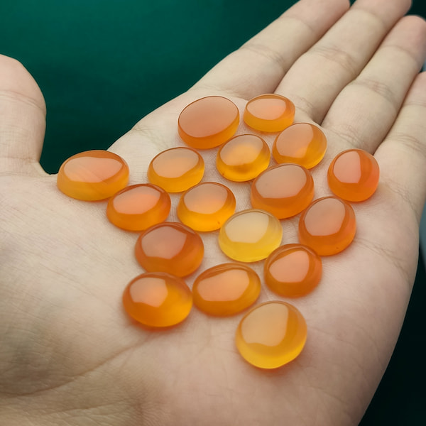 چرا شرف الشمس سیاه می شود؟ ۵ علت تغییر رنگ شرف الشمس زرد