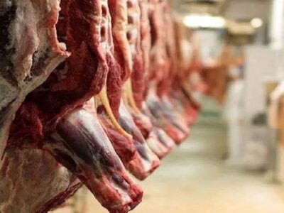 ترخیص گوشت در بنادر و استان‌های مرزی بدون مشکل