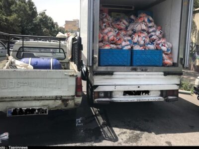 تسریع حمل نهادههای دامی از بنادر ضروری است