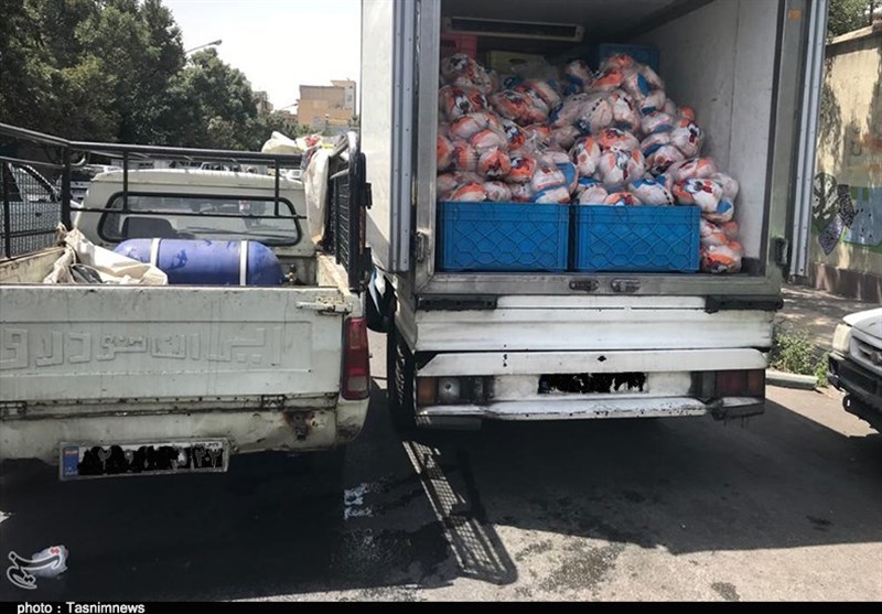 تسریع حمل نهاده‌های دامی از بنادر ضروری است