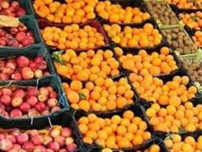 توزیع میوه عید از ۲۰ اسفند آغاز میشود