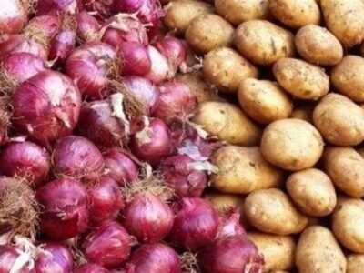 ذخیره سازی مطلوب سیب زمینی، پیاز و گوجه