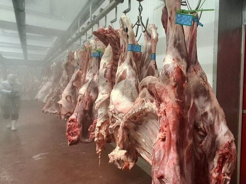 افزایش هزینه بسته‌بندی گوشت چقدر روی قیمت اثر دارد؟ / دبیر انجمن تولید و بسته‌بندی گوشت توضیح داد