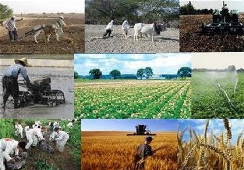 انتقال ۹۰ درصد مجوزهای کشاورزی به سازمان نظام مهندسی