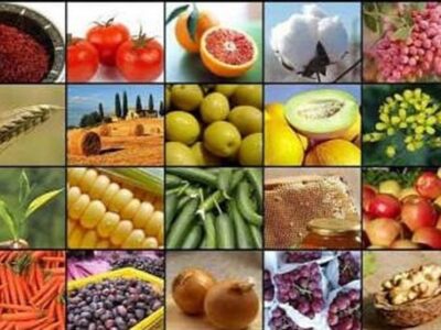 صادرات ۱۵ محصول کشاورزی آزاد شد+ جدول
