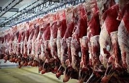 نیاز به واردات گوشت قرمز نداریم