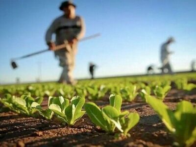 پیش بینی ارزش ۷۲میلیارد دلاری بازار کشاورزی ایران در سال ۲۰۲۶؛ رشد ۳.۶درصدی بازار تا ۲۰۳۱