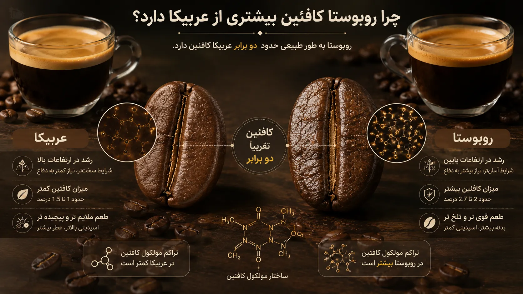 درصد کافئین عربیکا و روبوستا؛ کدام قهوه کافئین بیشتری دارد؟