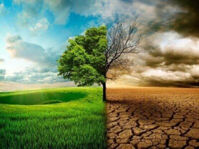 زنگ خطر ال‌نینو برای اقتصاد جهان؛ شرکت‌های بزرگ در آماده‌باش