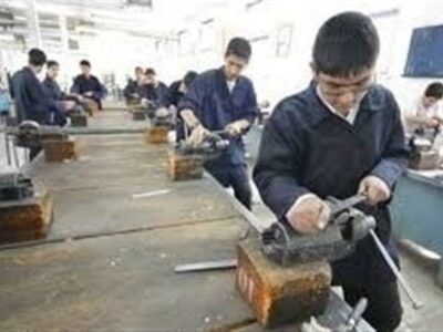 وقتی مدرک جای مهارت را می‌گیرد، بیکاری ماندگار می‌شود